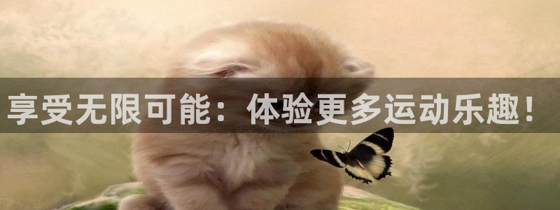 熊猫体育娱乐是那个系列的台子：享受无限可能：体验更多