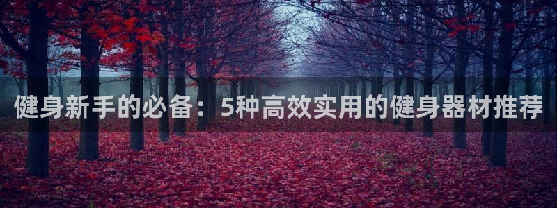 熊猫体育官网下载注册：健身新手的必备：5种高效实用的健身器材