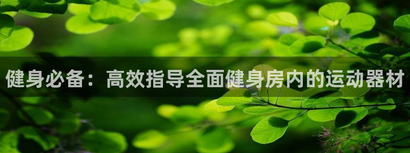熊猫体育官网下载平台注册要钱吗安全吗：健身必备：高效