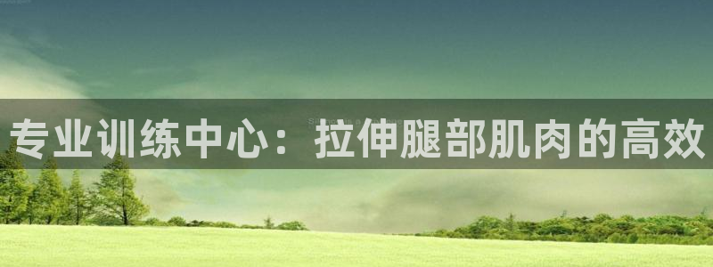 熊猫体育娱乐首页网站大全：专业训练中心：拉伸腿部肌肉的高效
