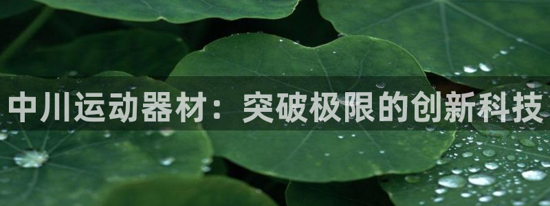 熊猫体育代理：中川运动器材：突破极限的创新科技