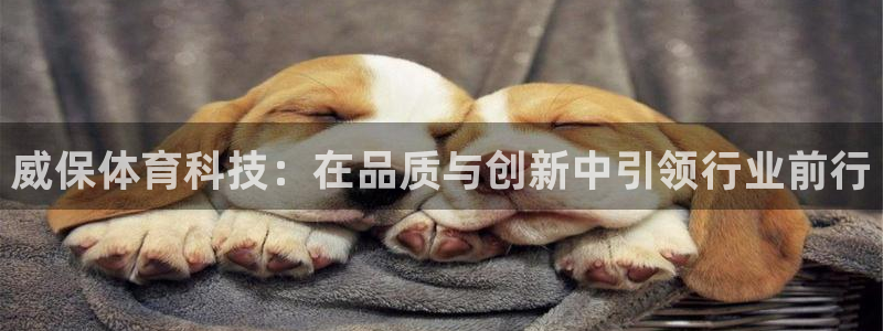 熊猫体育官网：威保体育科技：在品质与创新中引领行业前